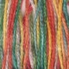 JAR-RAINBOW