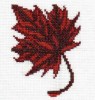 Maple_Leaf_4f594462b4825.jpg