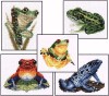 patE-700.jpg