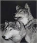 Pack_Mates_5297b8830eec4.jpg
